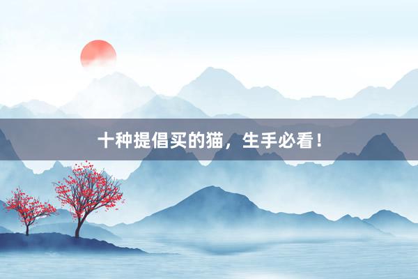 十种提倡买的猫，生手必看！